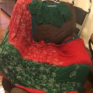 Indian pakistani wedding party wear sari saree